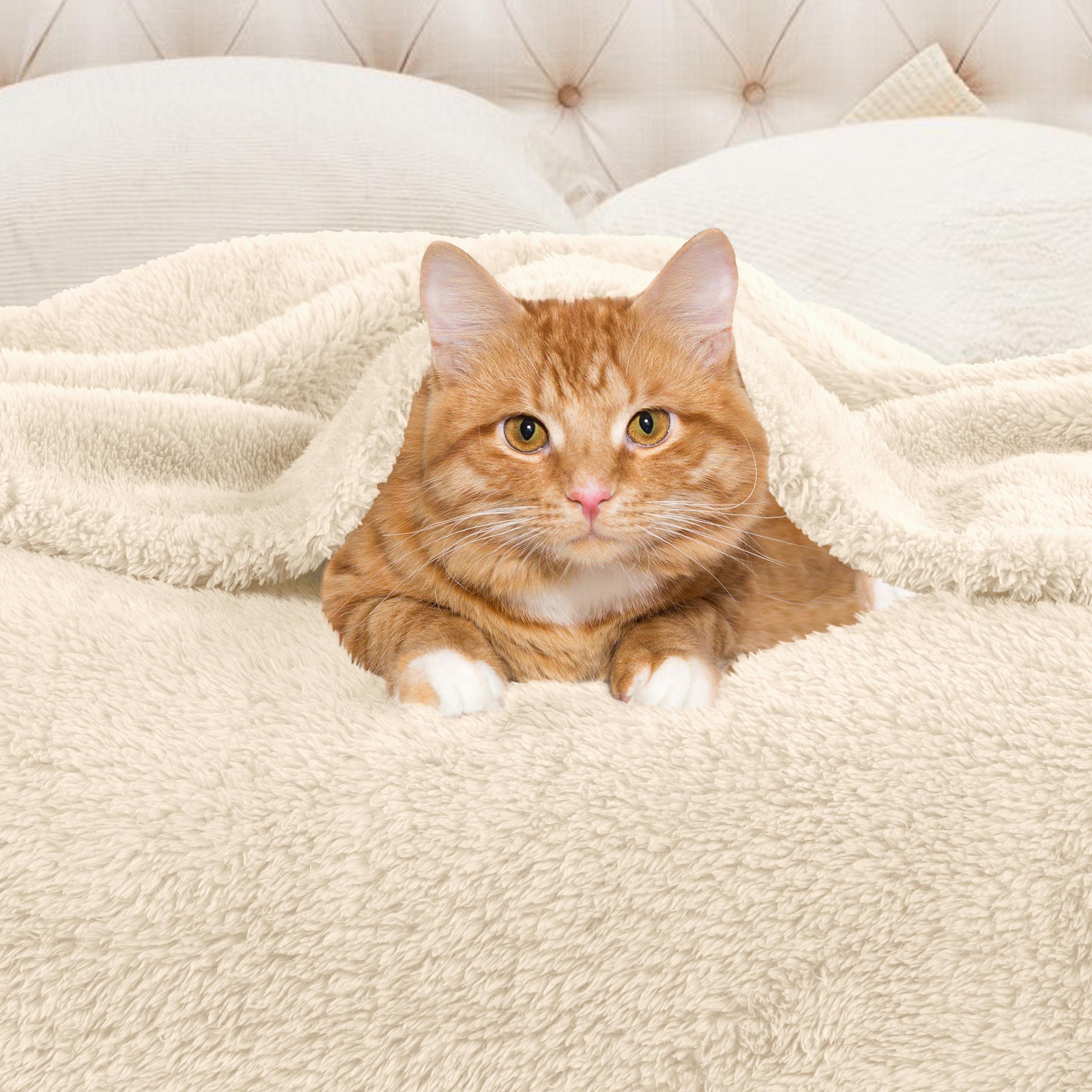 Classic Solid Fleece Plush Medium Weight Fluffy Soft Blanket - Omnigoodsstore