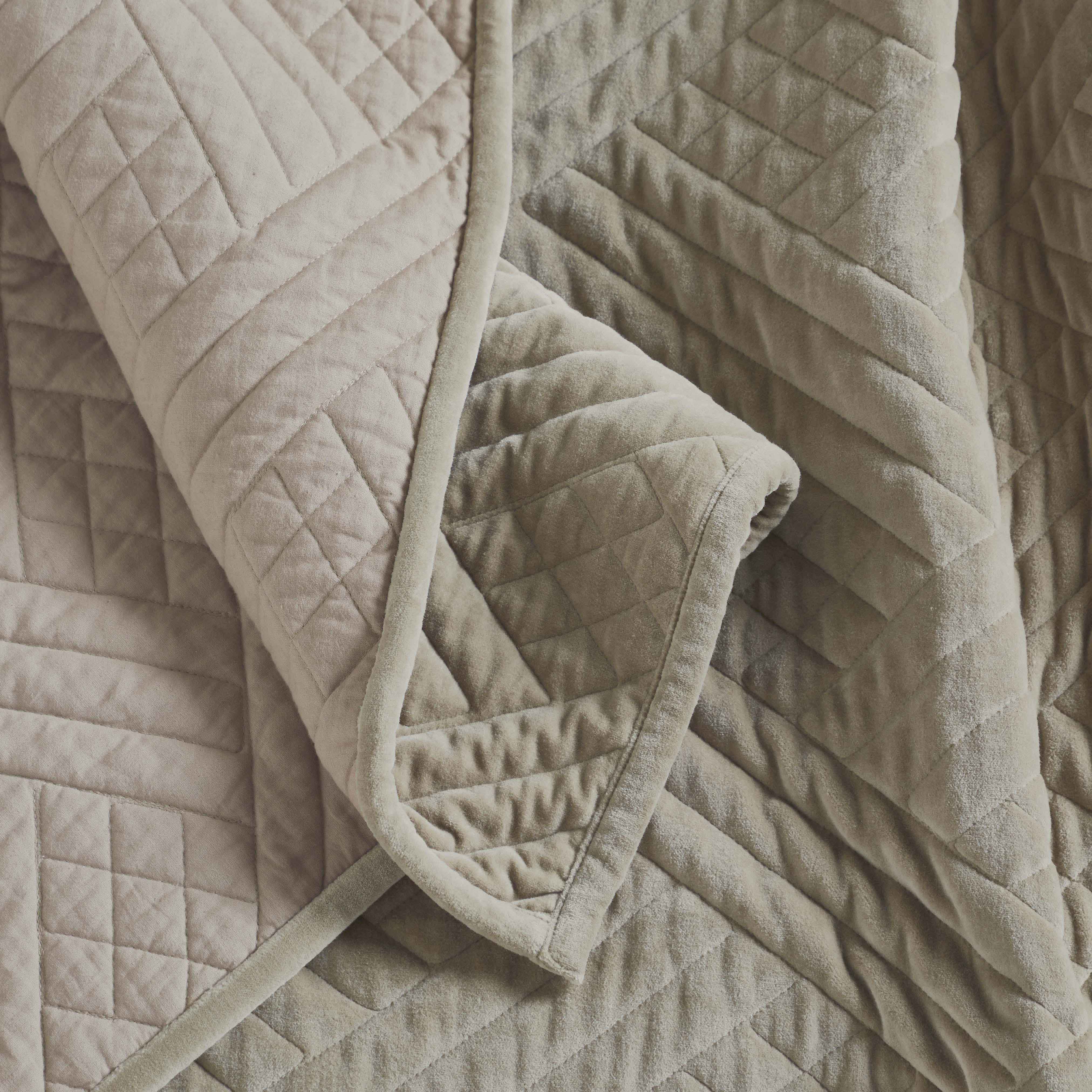 Karina Cotton Velvet Lightweight Quilt and Sham Set - Omnigoodsstore