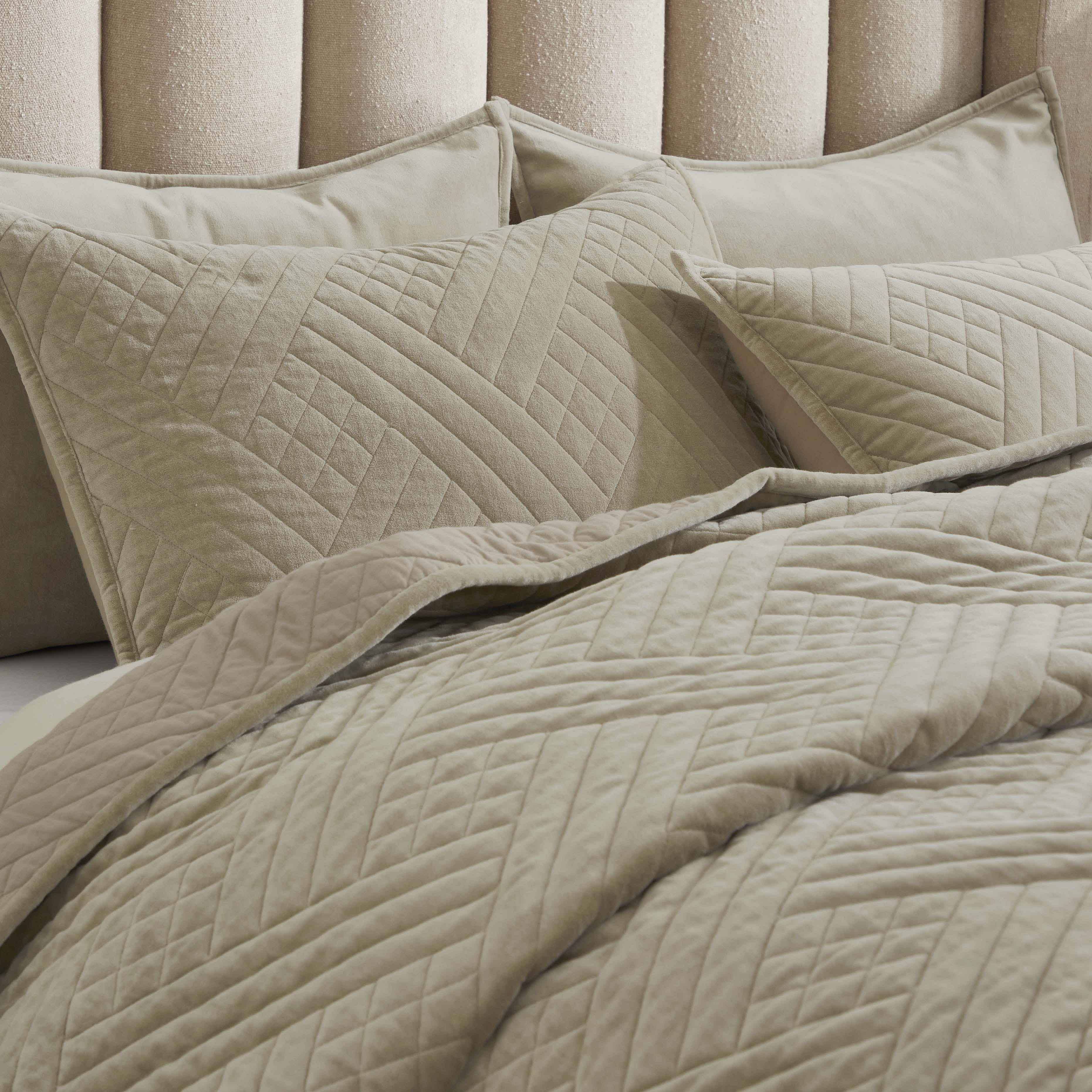 Karina Cotton Velvet Lightweight Quilt and Sham Set - Omnigoodsstore