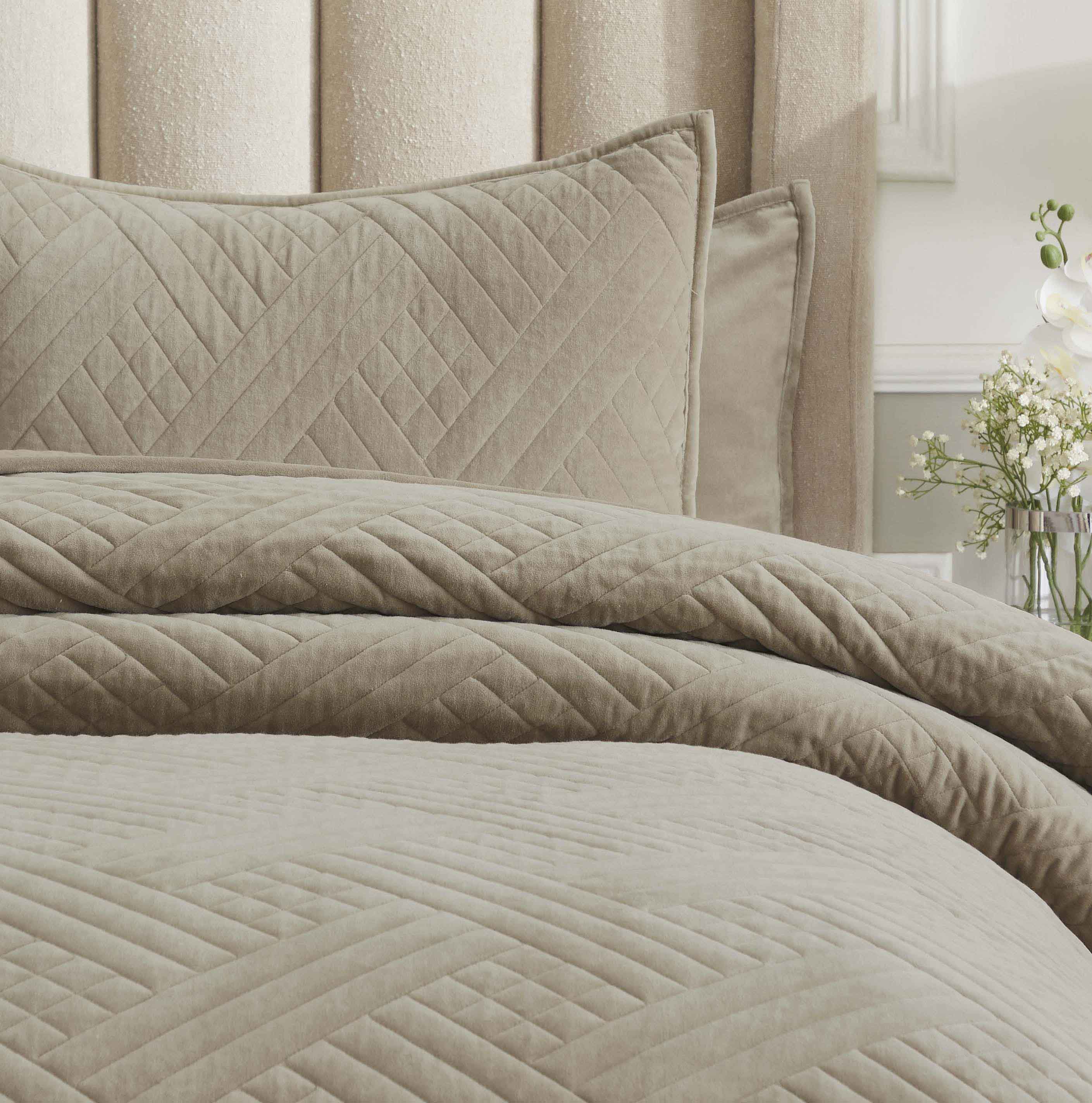 Karina Cotton Velvet Lightweight Quilt and Sham Set - Omnigoodsstore