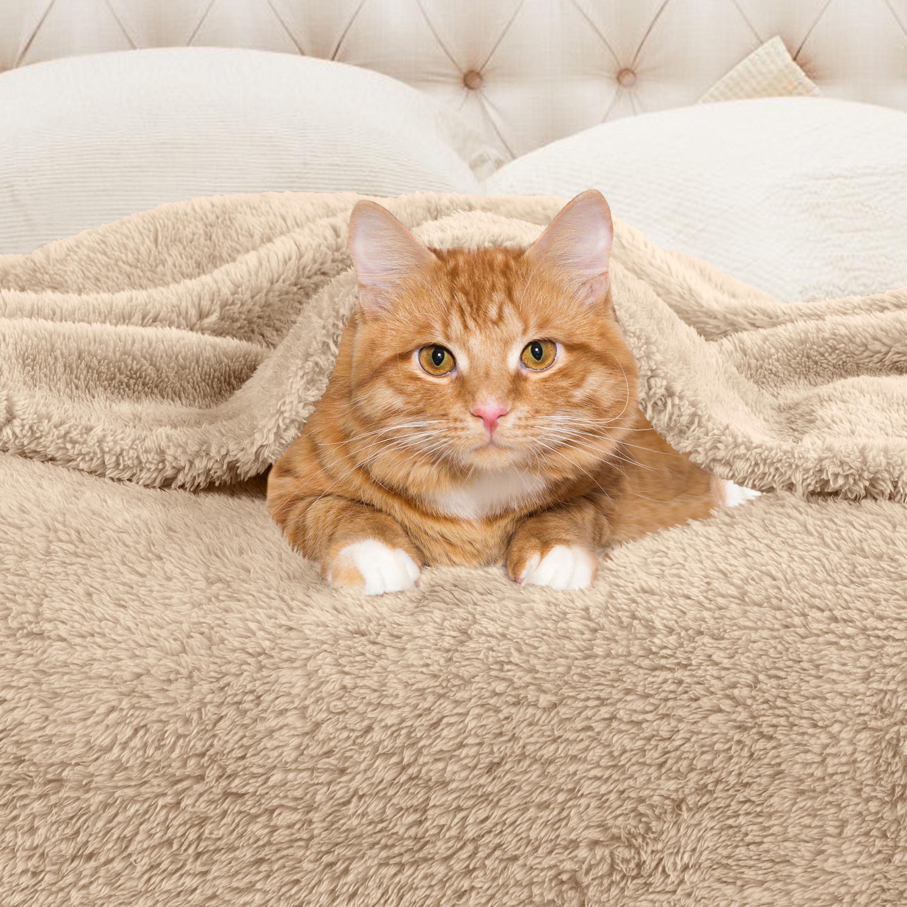 Classic Solid Fleece Plush Medium Weight Fluffy Soft Blanket - Omnigoodsstore