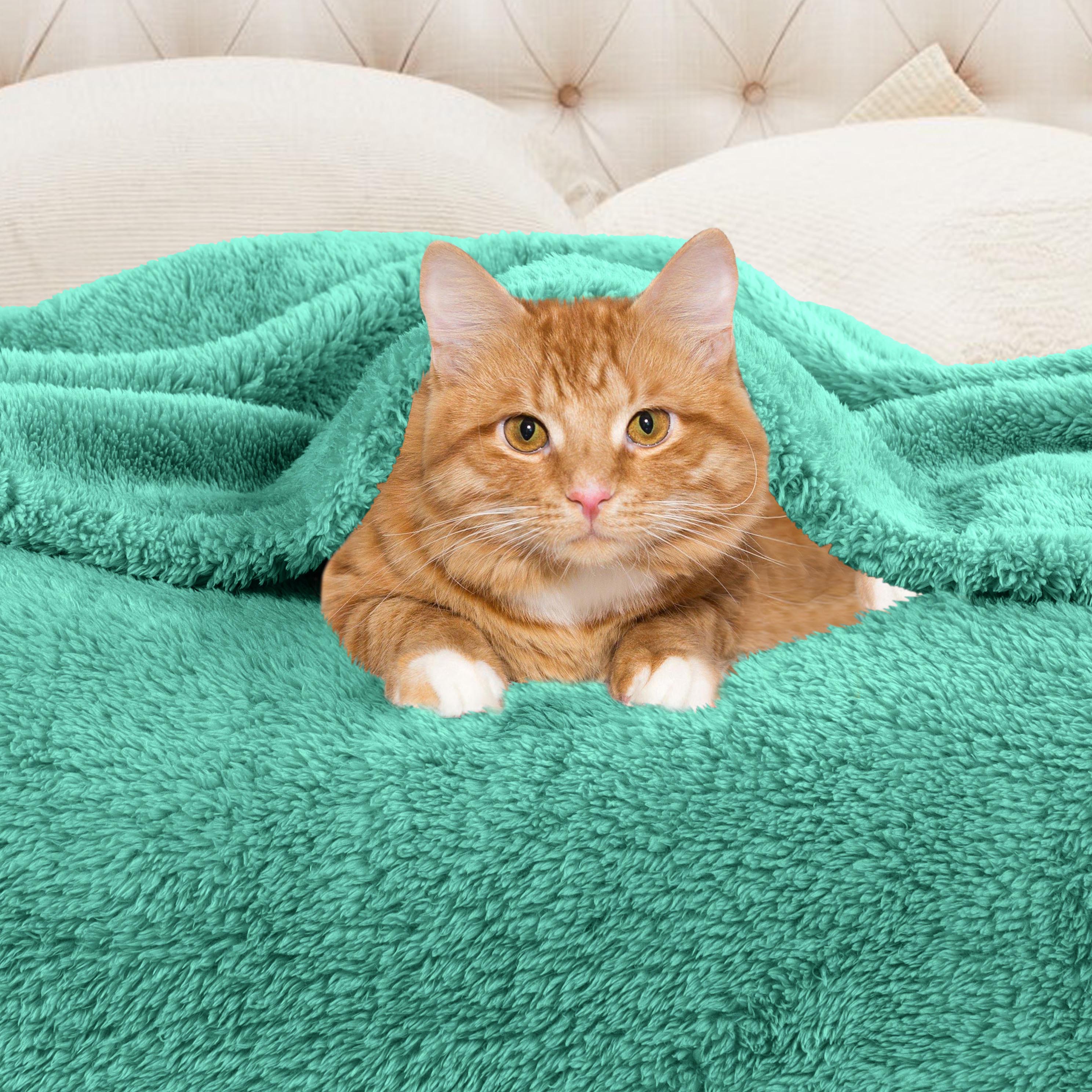 Classic Solid Fleece Plush Medium Weight Fluffy Soft Blanket - Omnigoodsstore