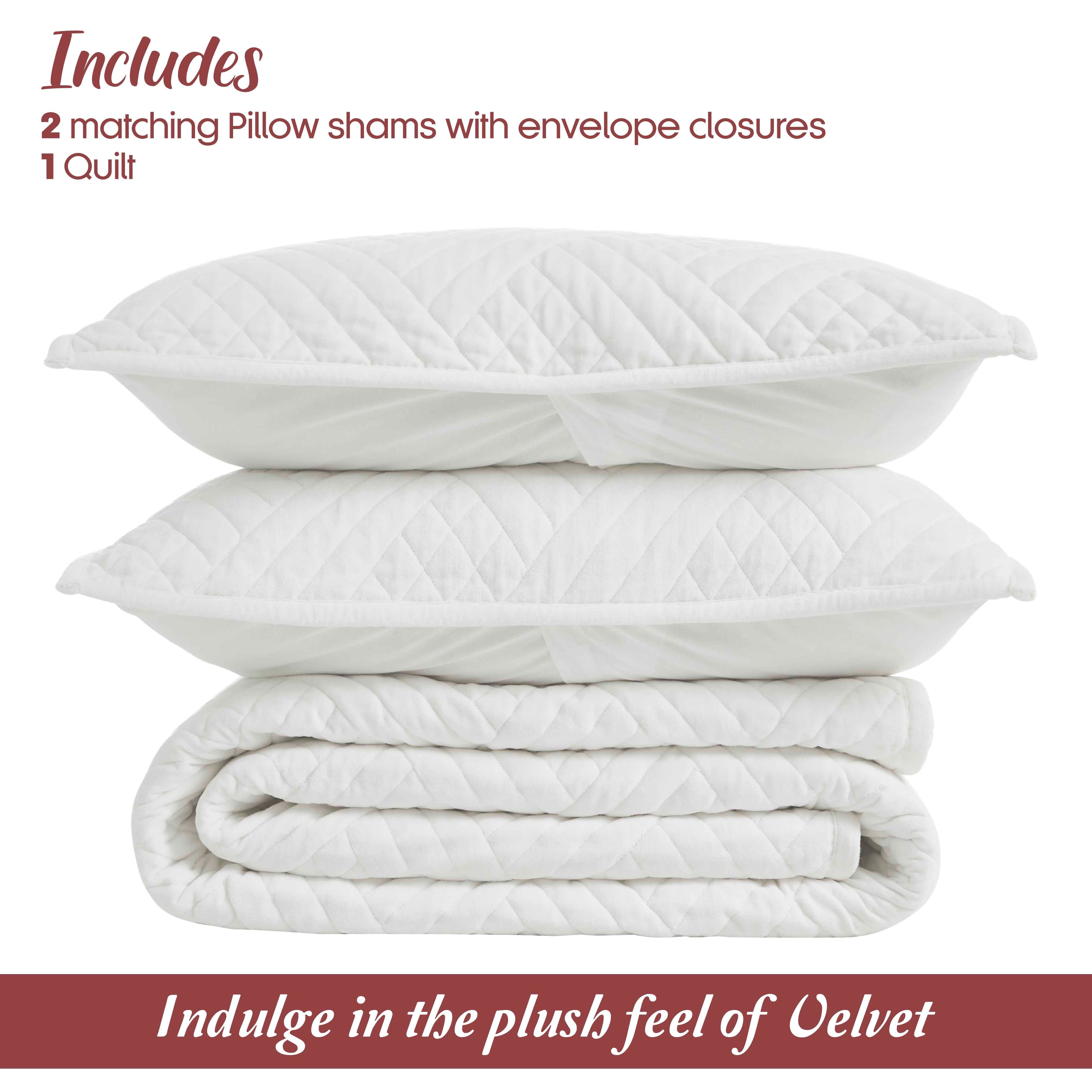 Karina Cotton Velvet Lightweight Quilt and Sham Set - Omnigoodsstore