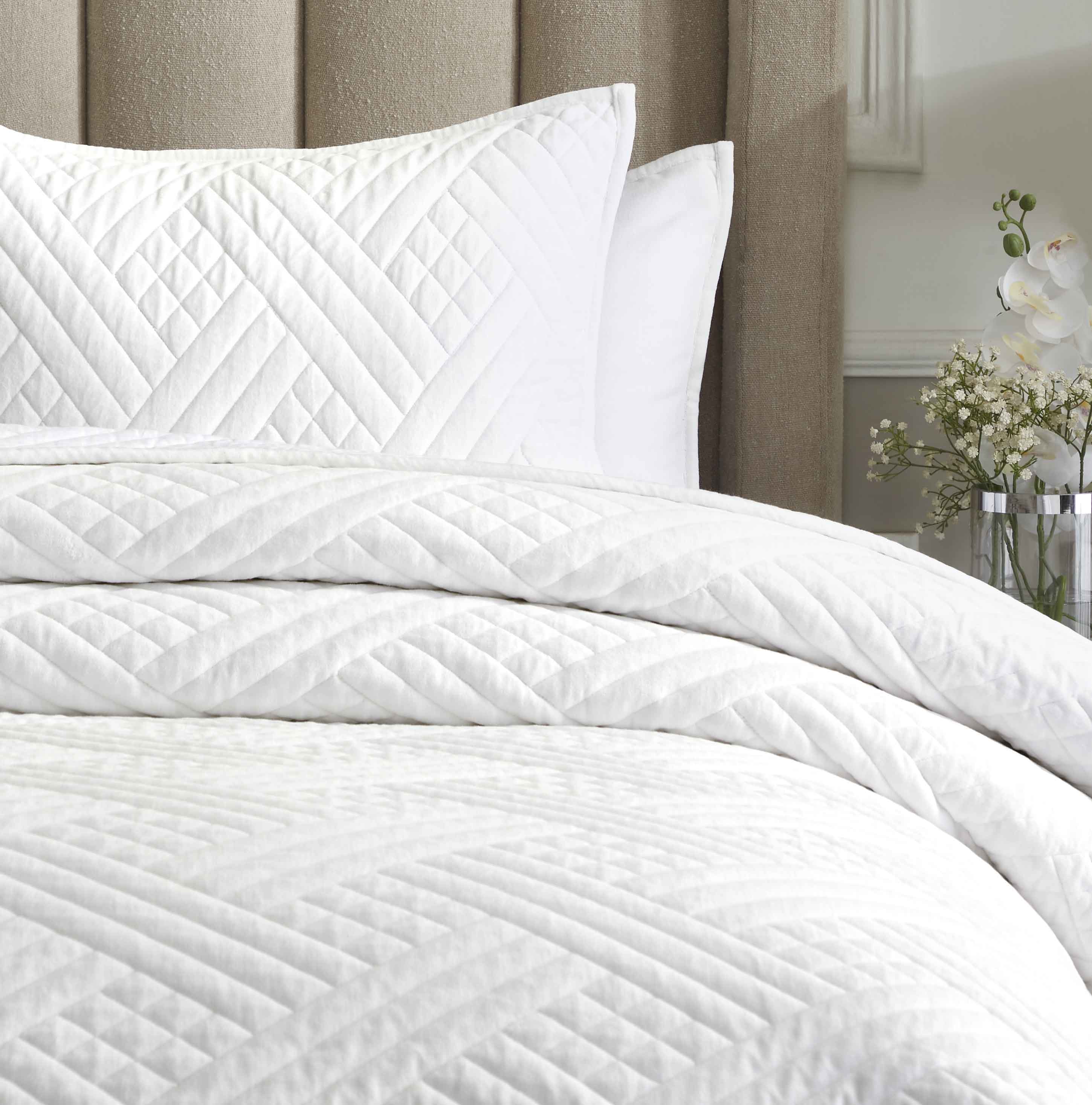 Karina Cotton Velvet Lightweight Quilt and Sham Set - Omnigoodsstore