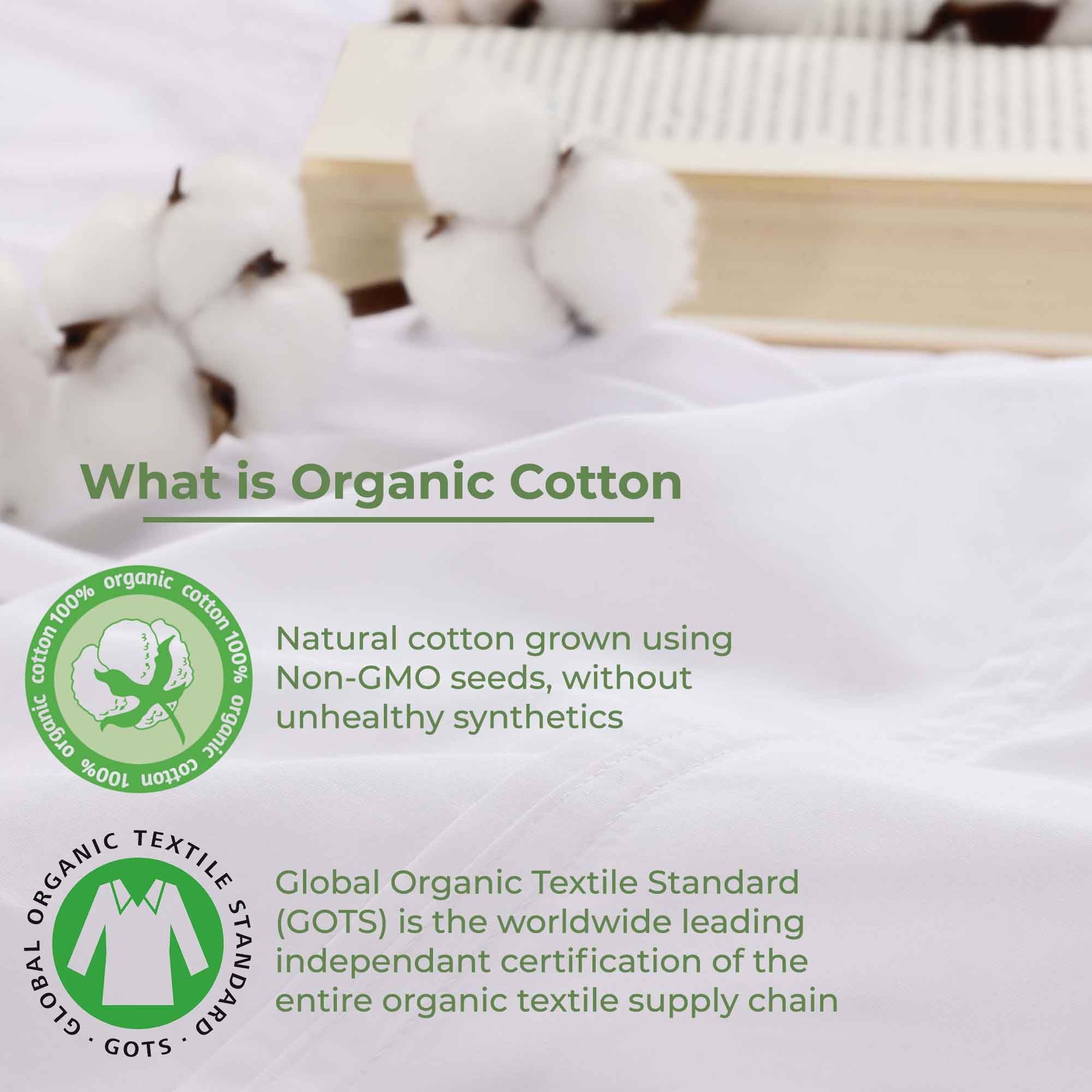 Gina Organic Cotton 300 Thread Count Percale Flat Bed Sheet - Omnigoodsstore