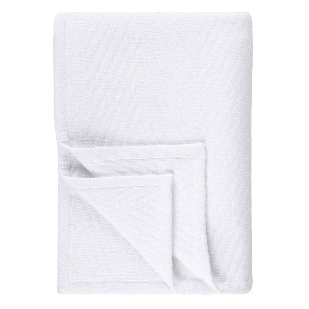 Aswan Cotton Medium Weight Chevron Woven Coverlet - Omnigoodsstore