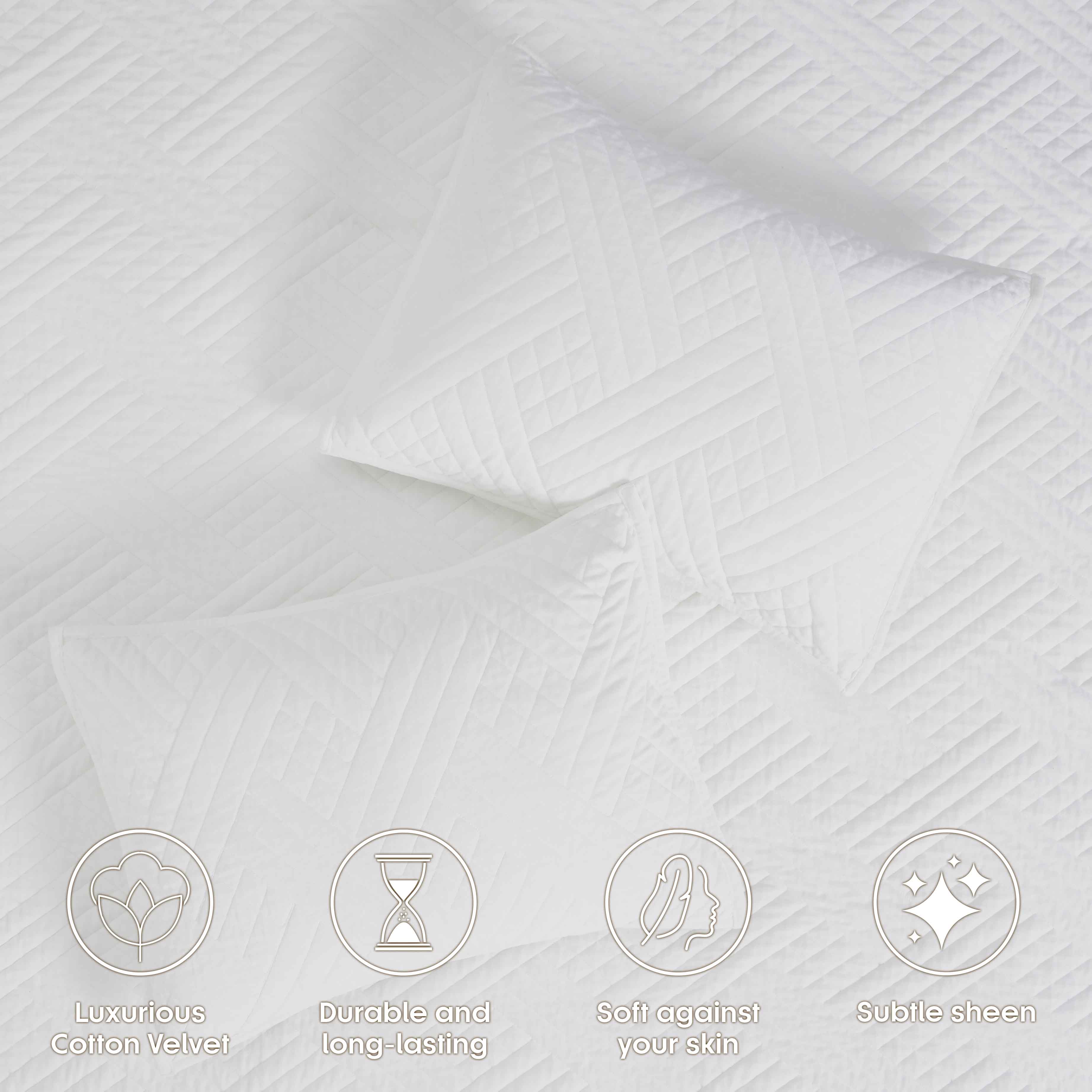 Karina Cotton Velvet Lightweight Quilt and Sham Set - Omnigoodsstore